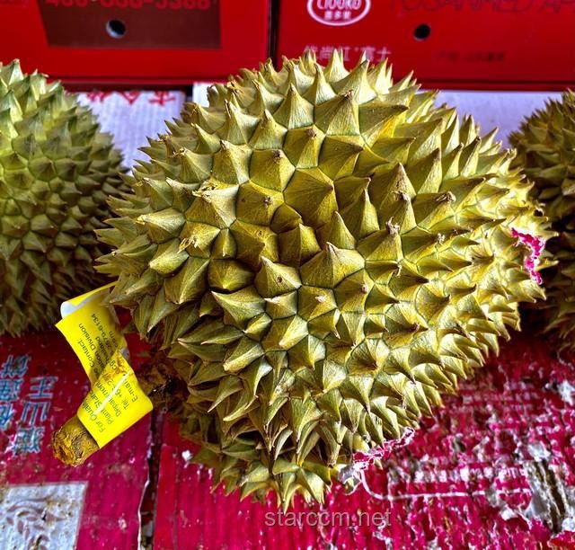 进口水果价格跳水：现象、原因与选购指南
